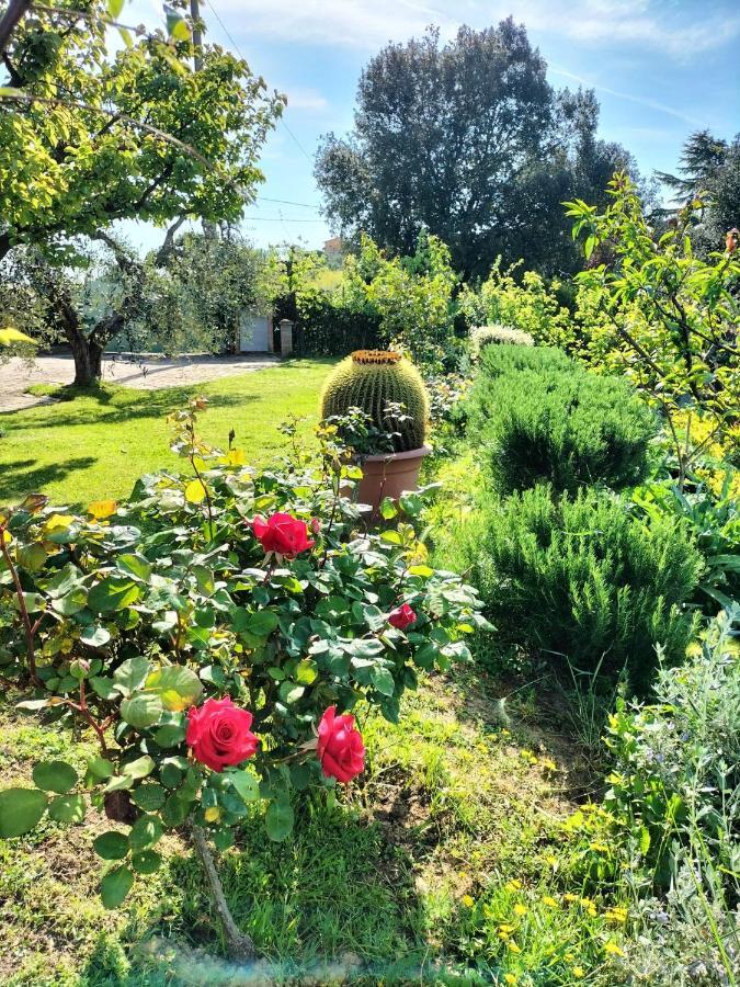 Gervasella Villa Понтедера Екстериор снимка